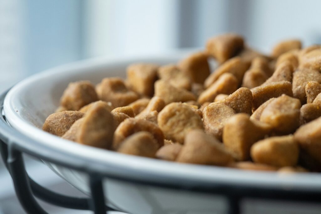 A close-up view of a bowl of pet food.