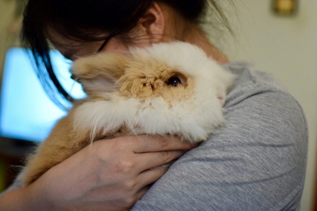 A woman with black hair in a bun holds a fuzzy white rabbit with light brown around her eyes and on her ears.
