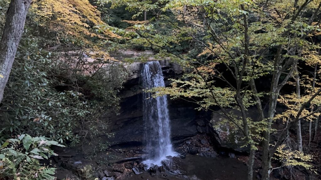 Cucumber Falls, one of several waterfalls at Ohiopyle State Park, drops into a pool of water and is surrounded by trees with colorful fall foliage.