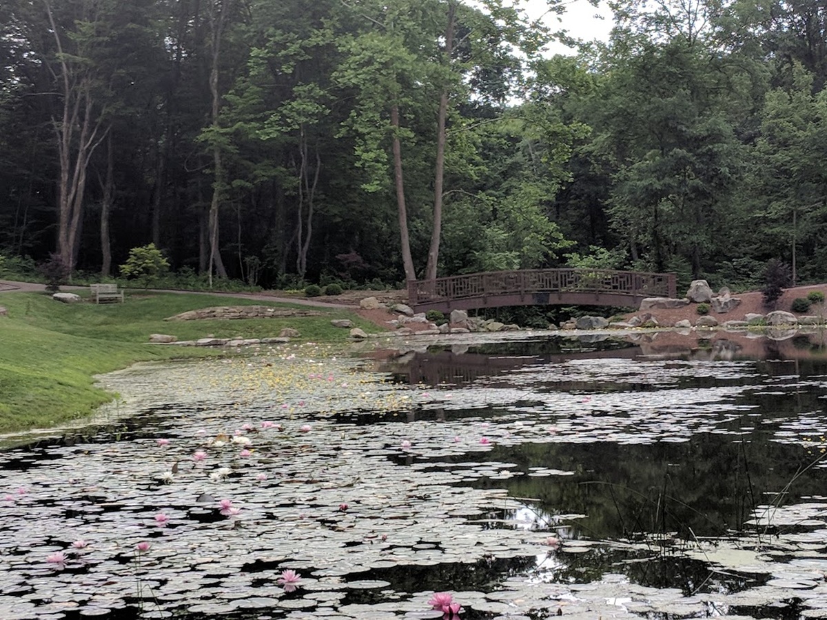 A pond with lily pads. Behind it is a storybook footbridge.