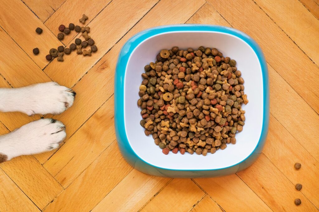 A photo of a white bowl of pet food. Several pellets are scattered on teh floor. on the left side is the image of two white paws.