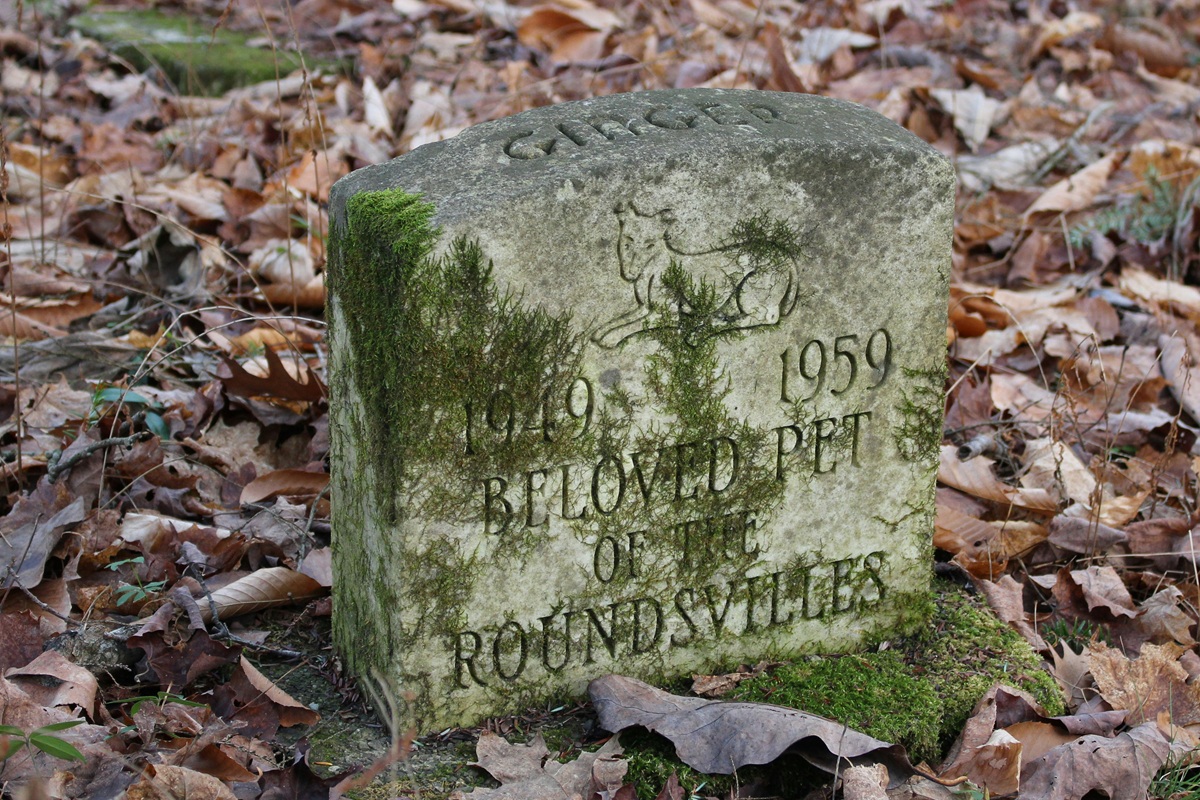 A photo of an old headstone for a dog