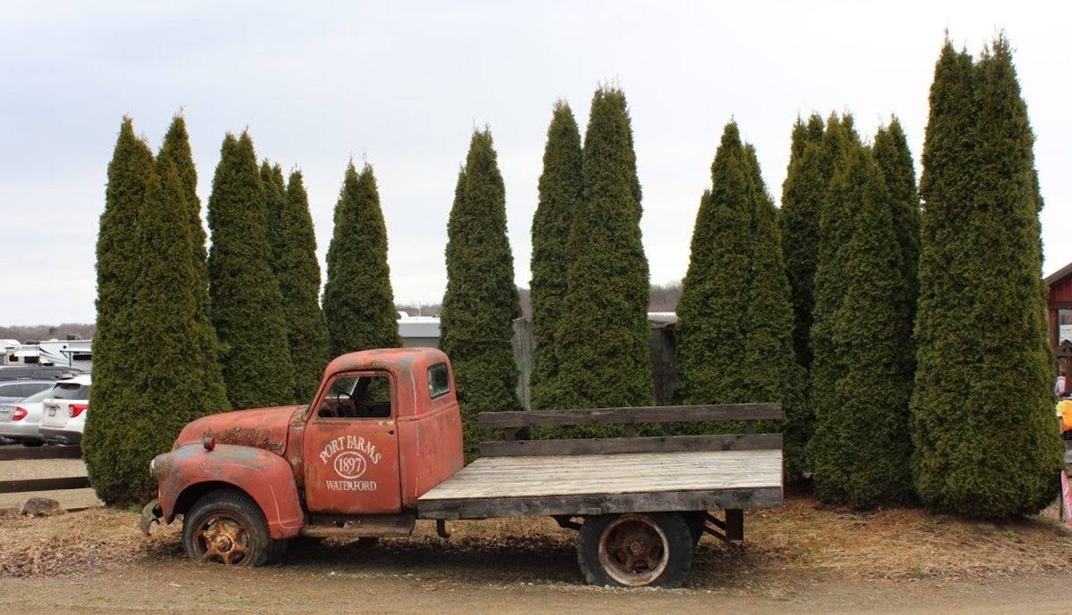 A truck with a flat bed sits in front of evergreen trees. The truck says Port Farms - 1897 - Waterford.