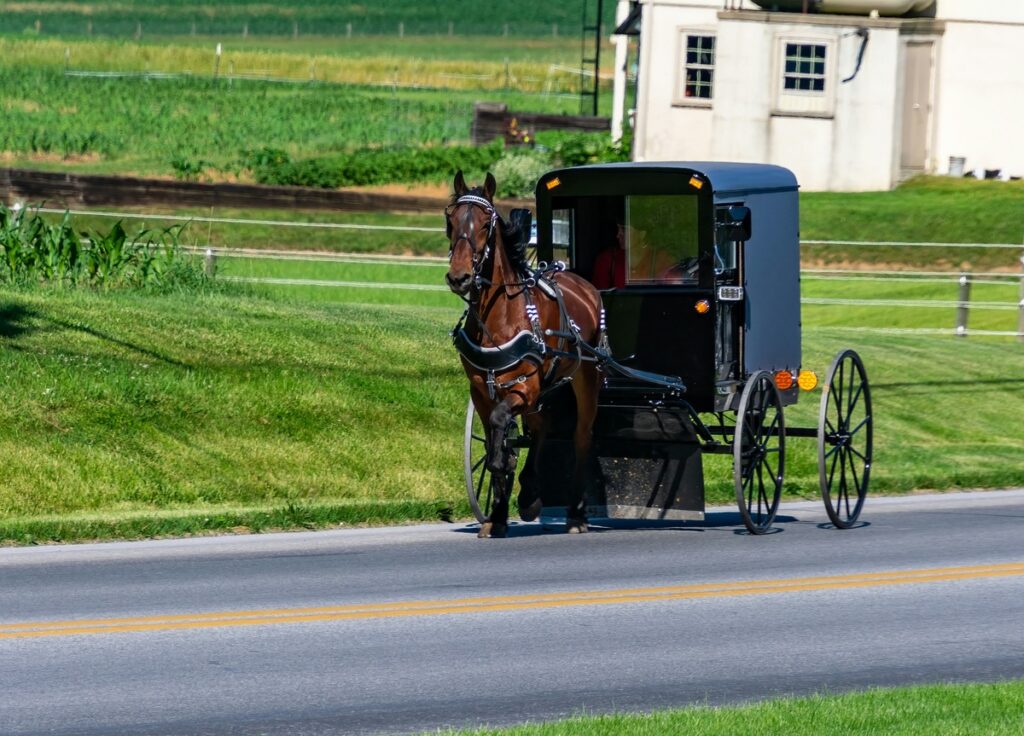 A horse-drawn Amish buggy travels on a two-lane road, past a white farm house and rolling green farm land.