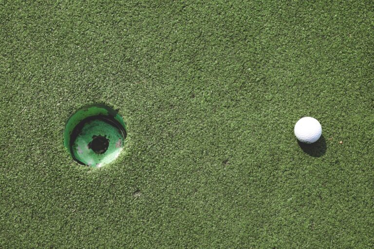 A golf ball sits inches from a hole at a mini golf course.