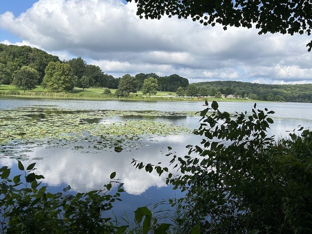 Trees frame Lake Arthur, where lily pads float and clouds mirror off the water, and the beach with trees is in the background.