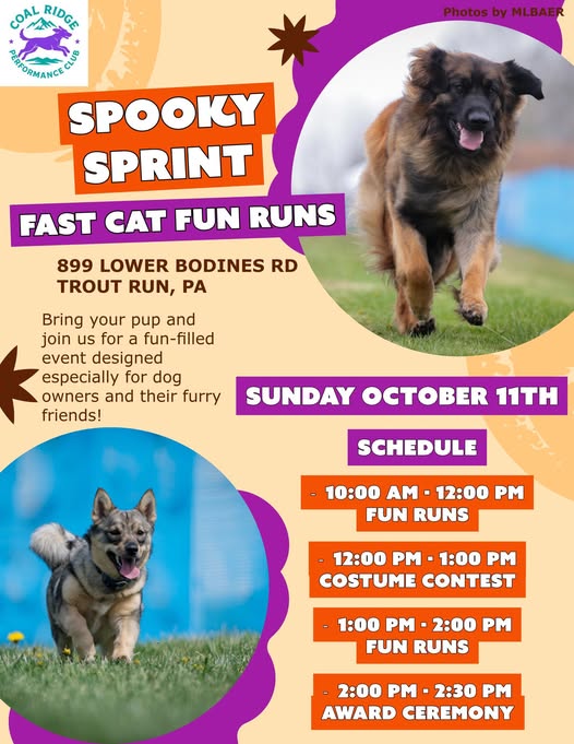 A photo of Spooky Sprint, a pet-friendly event set for Sunday, Oct. 11, 2026.